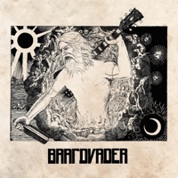 Baardvader - It's All Over