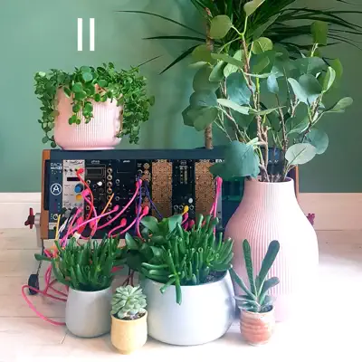 Luister naar 'Music for Plants, Vol. 2 - EP' van Obakegaku