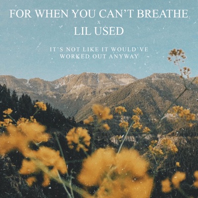 It's Not Like It Would've Worked Out Anyway - Single