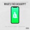 Whats the CashApp? - Majestic Drama, Kwaw Kese & Ashea Lenea lyrics