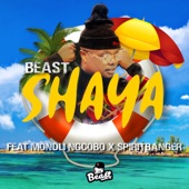 Shaya (feat. Mondli Ngcobo & SpiritBanger) artwork