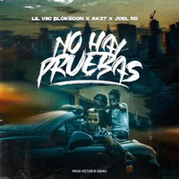No Hay Pruebas (feat. Ak27 & joel RD) - Single - Lil Viic