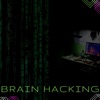 The Hacker The Hacker Brain Hacking - Ambient Music for Programming at Home
