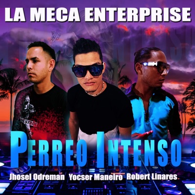 Perreo Intenso (feat. Robert L.M.C & Jhosel Odreman) - Single