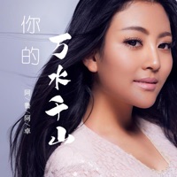 你的万水千山 (DJ沈念版) - Single - aluazhuo
