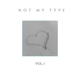 Not My Type (feat. Sub Baby & BNM Todo) N.F.M.