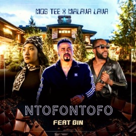 Ntofontofo (feat. Mos Tee, Malava Lava) [Radio Edit] Gin