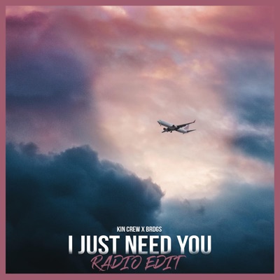 I Just Need You (feat. Brdgs) [Radio Edit] - Single