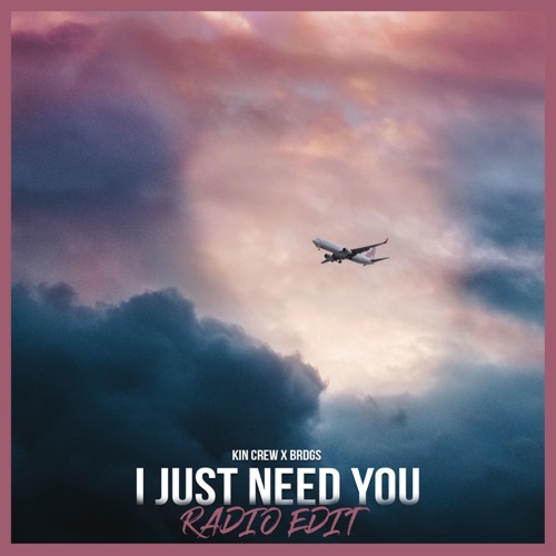 I Just Need You (feat. Brdgs) [Radio Edit]