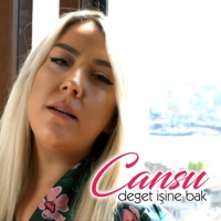 Deget İşine Bak (feat. Şerif Kayran) - Single - Cansu