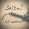 Self Destruct - Single