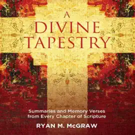 A Divine Tapestry: Summaries and Memory Verses from Every Chapter of Scripture (Unabridged)