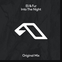 Into the Night - Single - Eli & Fur
