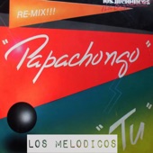 Mi Cocha Pechocha (Remix) artwork