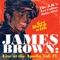 Introduction of James Brown By Fred Wesley - Fred Wesley lyrics