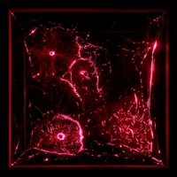 You Were Delicate Like Glass - Single - Madi Marie