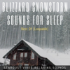 Blizzard & Snowstorm Sounds for Sleep: Best of (Loopable) - Stardust Vibes