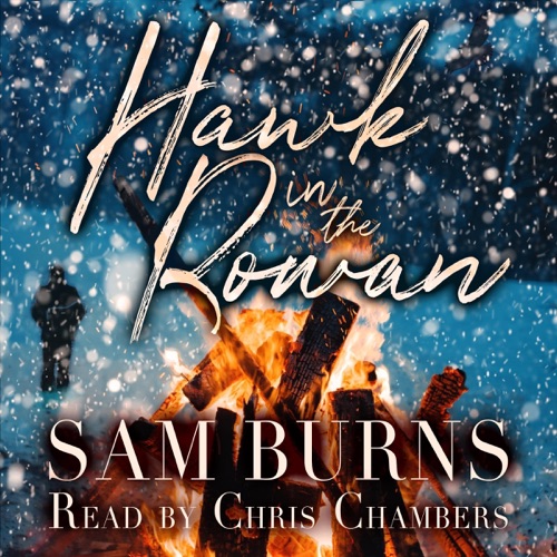 Hawk in the Rowan: The Rowan Harbor Cycle, Book 4 (Unabridged) cover