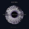Estiva - Morpho