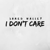 I Don't Care - Single