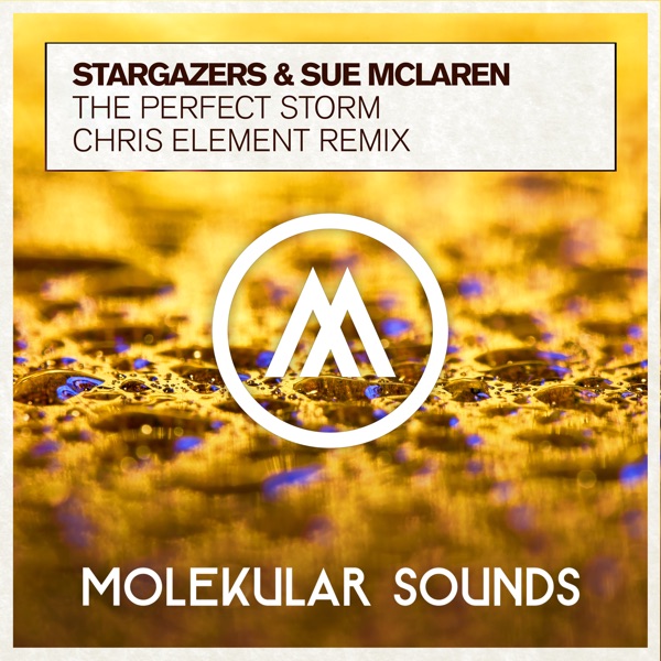 The Perfect Storm (Chris Element Remix) - Single