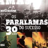 Multishow ao Vivo - Os Paralamas do Sucesso 30 Anos (Deluxe) artwork