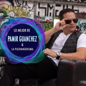 La Charanga de Pamir artwork