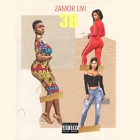 3B - Single - Zamor Livi