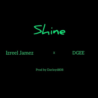 Shine (feat. Dgee) - Single
