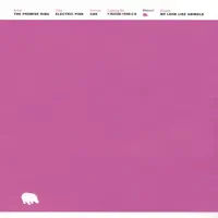 Electric Pink — The Promise Ring