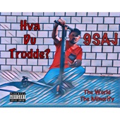 Hva Du Trodde? artwork