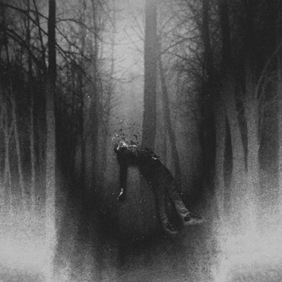 Middle of the Woods - Single