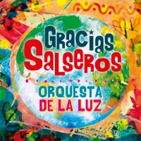 Gracias Salseros