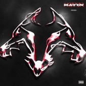 HATIN+ artwork