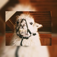 Slow 'N' Heavy - Single - Dduck & Sina