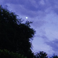 Curves - Single - Tohaj