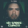 No Sabes Cuanto - Single