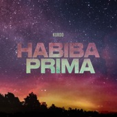 Habiba Prima artwork