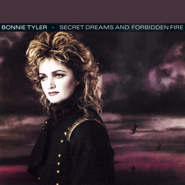 Secret Dreams and Forbidden Fire - Bonnie Tyler