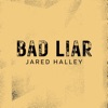 Bad Liar (Acapella Version) - Single