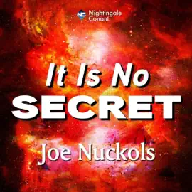 It Is No Secret: You Have Been Seduced to Think There Is a Secret to Success (Unabridged)
