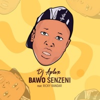 Bawo Senzeni (feat. Ricky Randar) - Single - Dj Aplex