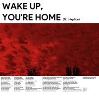 Wake Up, You're Home (feat. Trixplice) - Single - Vehemntt