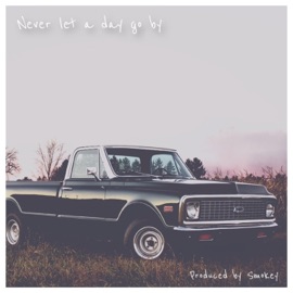 Never Let a Day Go By Stretch-9