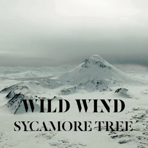 Wild Wind