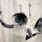 Matter of Taste - Margret lyrics