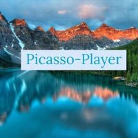 Player - Single - Picasso