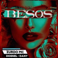 Besos (feat. Diosnel & Dany) - Single - Zurdo Mc