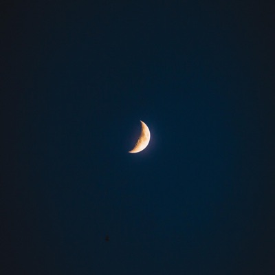 Scintilla - Single