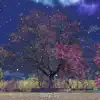 Stranger Sky